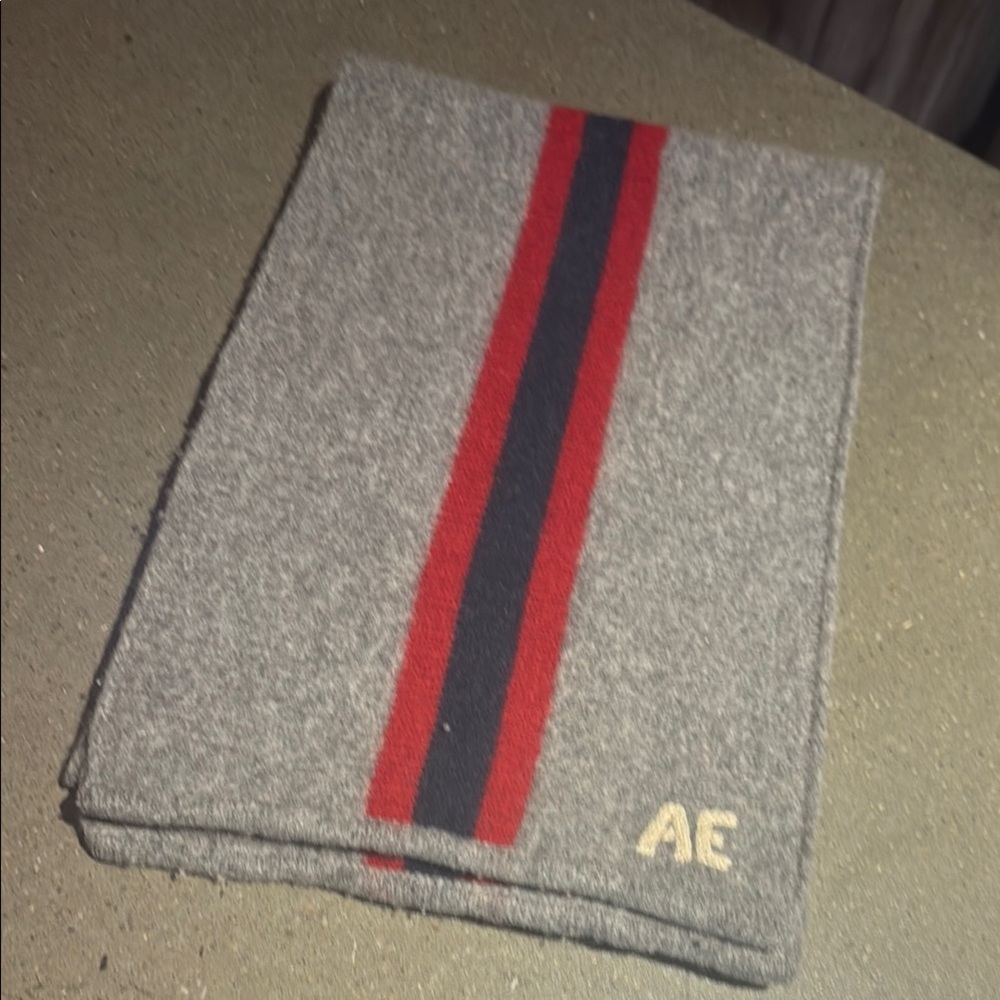 American Eagle Outfitters Gray Scarf with Red and Dark Stripes